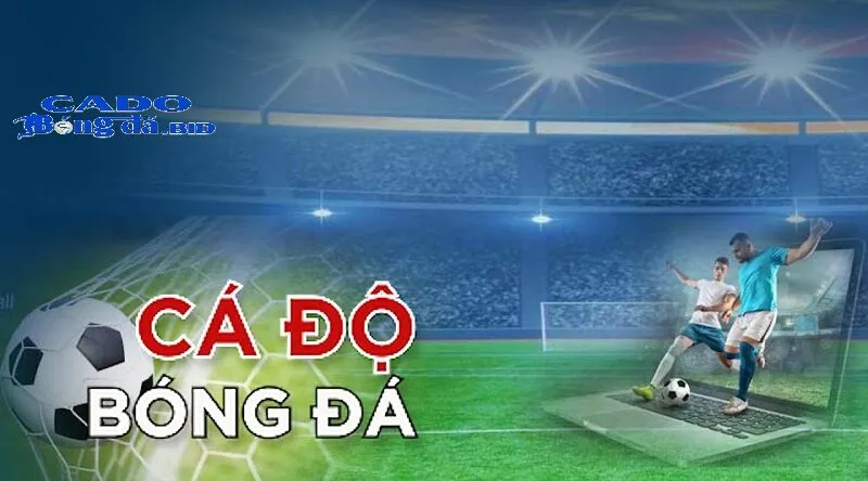 Ưu và nhược điểm của cá độ bóng đá online