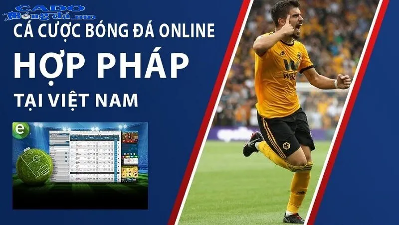 Xu hướng thay đổi của thị trường cá cược thể thao